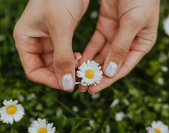 Meadowell healing journey